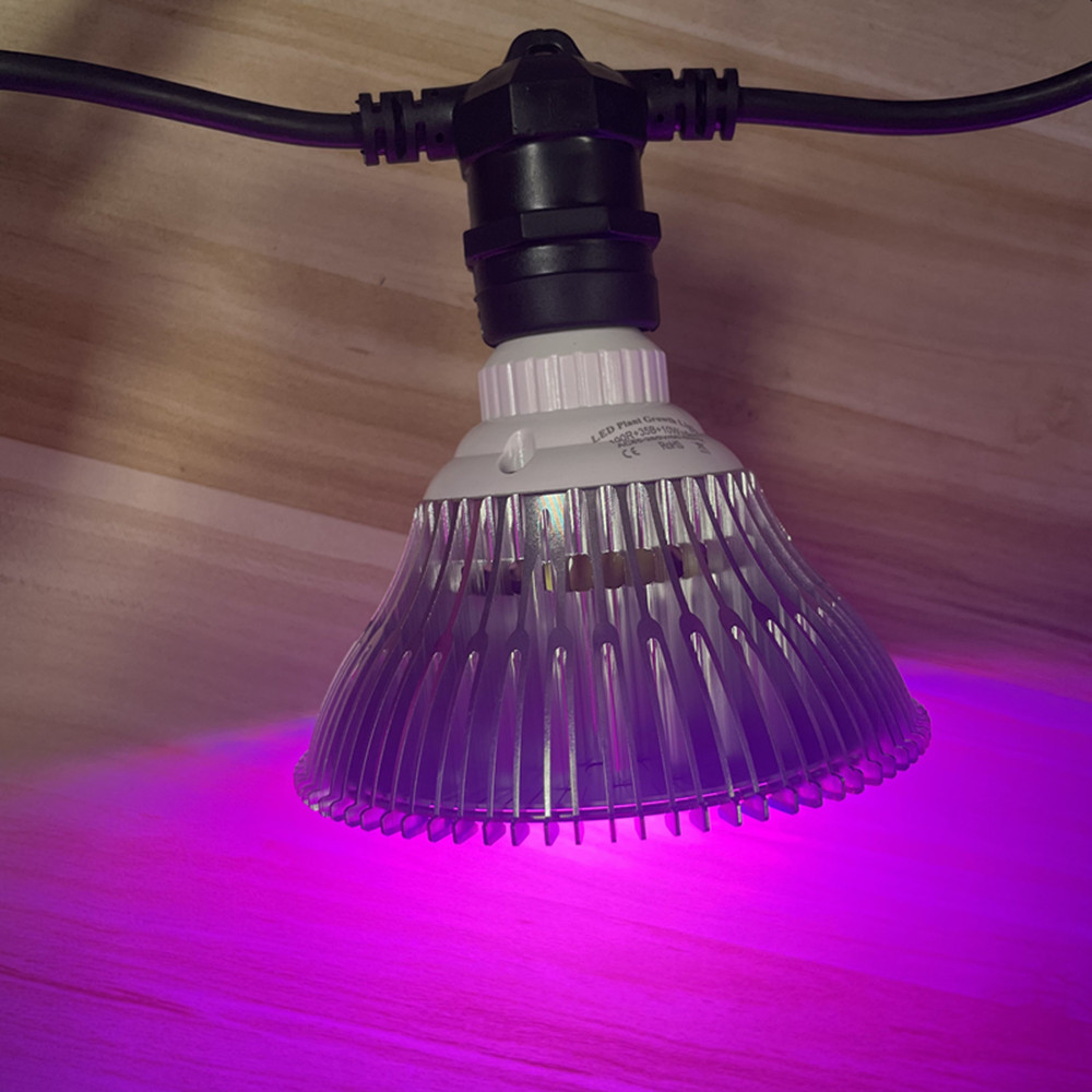 10M Cable LED String Commercia - đánh giá và giá Outdoor Power Adapter