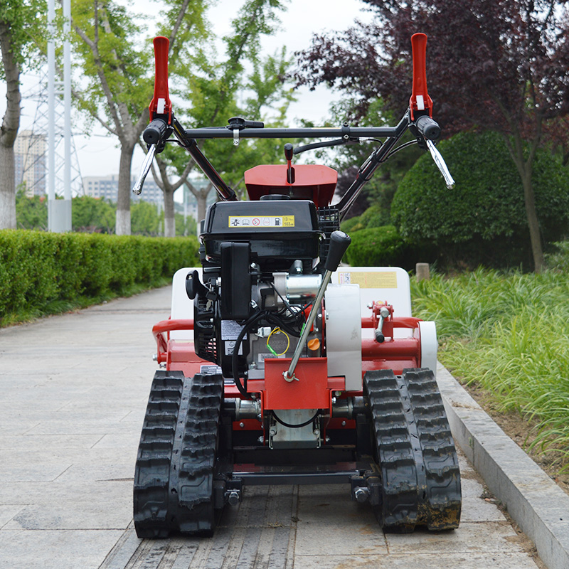 Hot-selling Tracked Walk-behin - đánh giá và giá Hedge Trimmer Cordless