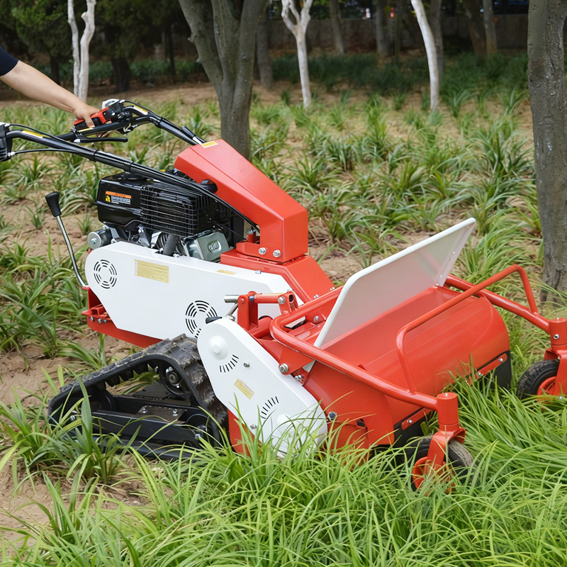 Hot-selling Tracked Walk-behin - đánh giá và giá Hedge Trimmer Cordless